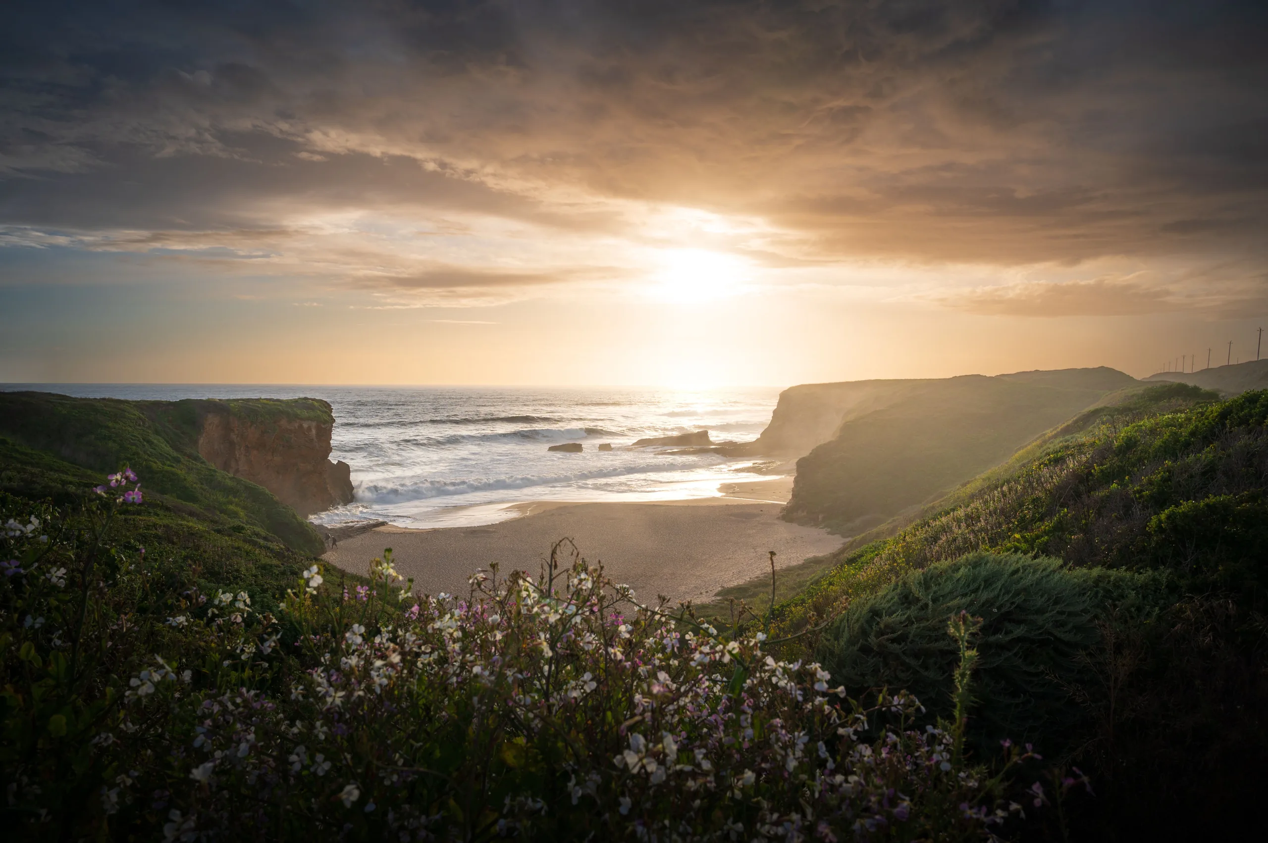California coastline at sunset, a sandy cove framed by bluffs and coastal wildflowers